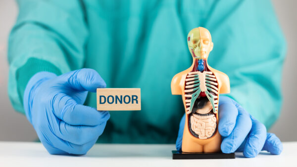 A doctor's hand displays a wooden rectangle with the word DONOR on it. Concept of voluntary organ donation. Raising awareness about the importance of altruistic donation.
